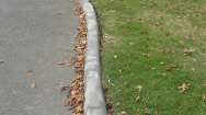 Commercial Landscape Curb in Richmond BC