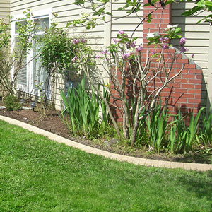 Lanscape Curbing for residential & commercial for Surrey BC & Vancouver