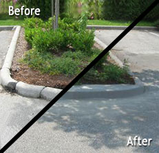 Commercial Concrete Curbing & Concrete Edging